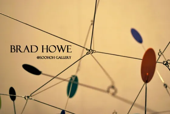 Brad Howe: Celebrate Beauty