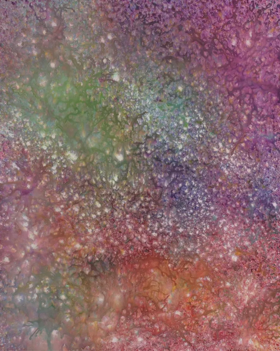 Internal L. Universe Series 124, 91×72.7cm, Acrylic on canvas