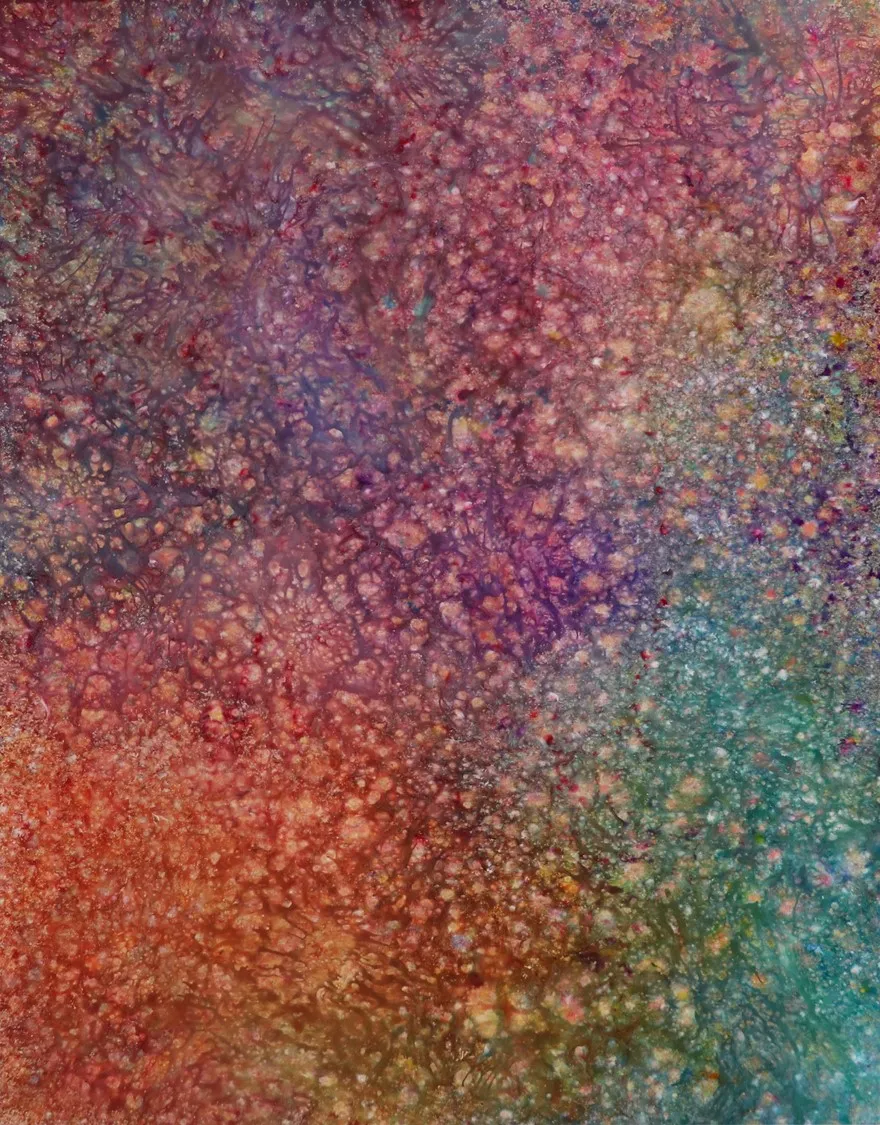 Internal L. Universe Series 132, 91×72.7cm, Acrylic on canvas