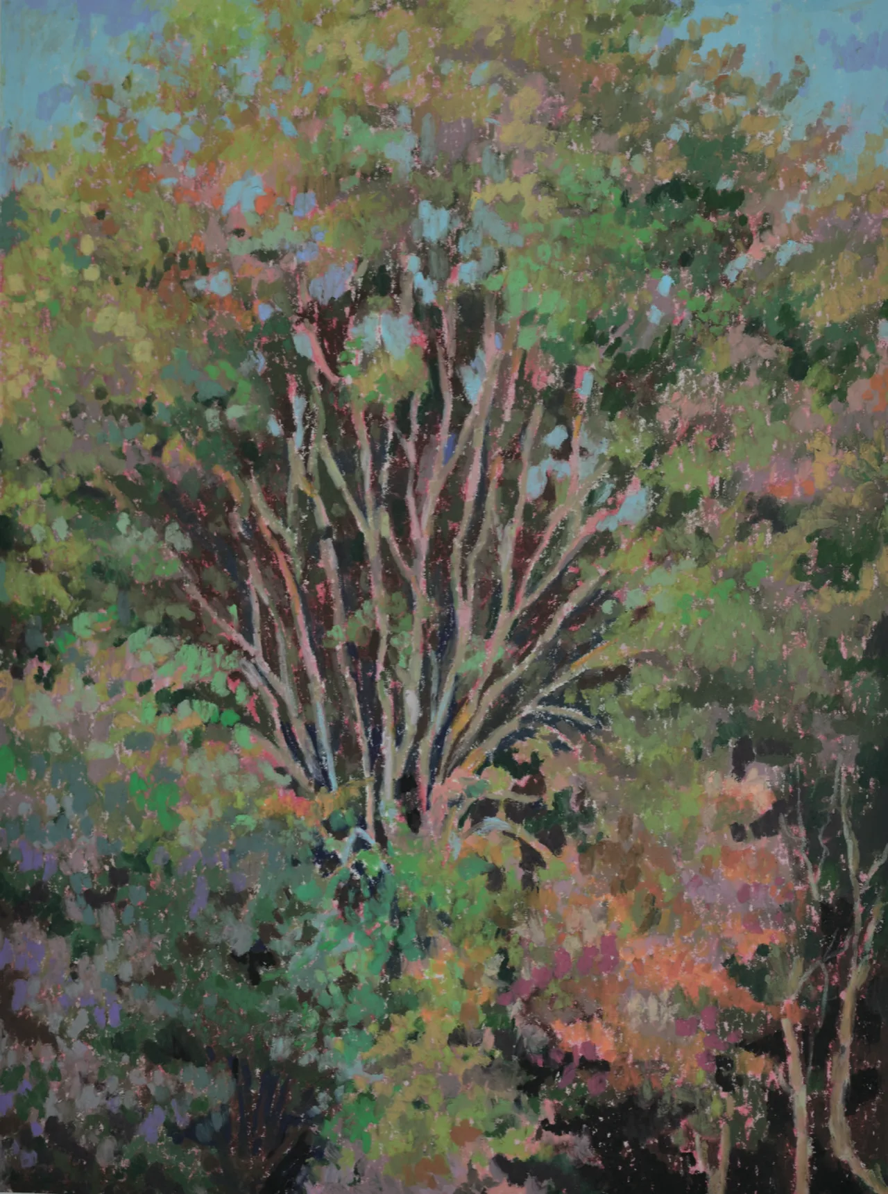 깊이, 27×36cm, Oilpastel on paper